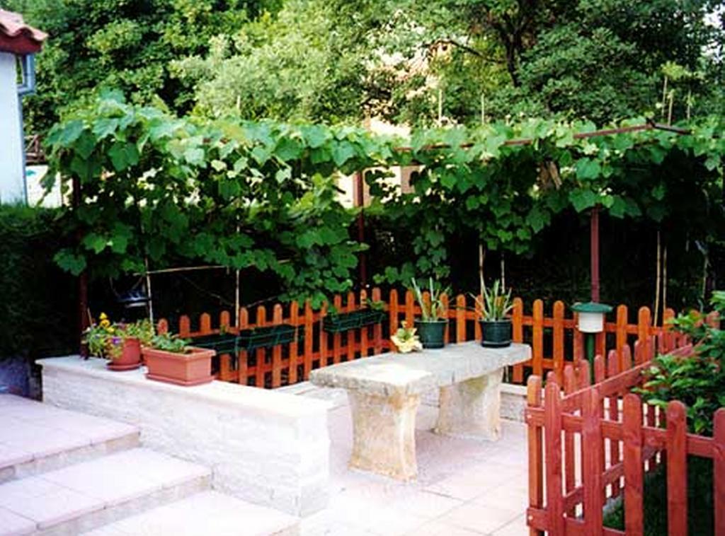 Apartment Felix Poreč